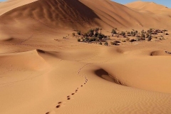 Deserto